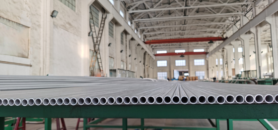 610 X 17.48mm Duplex Stainless Steel Pipe For Petro Chemical S31803