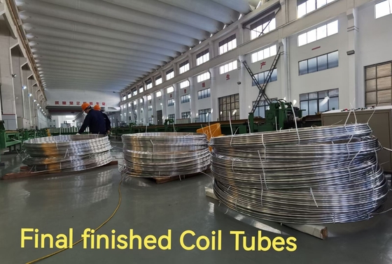 ASTM AISI DIN EN JIS SS Strip Coil Cold Drawn Welded Seamless